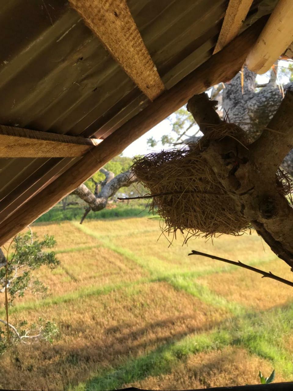 Galapita Eco Lodge Buttala Екстериор снимка