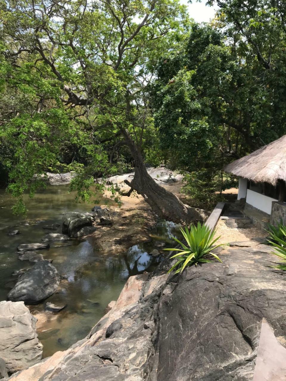 Galapita Eco Lodge Buttala Екстериор снимка