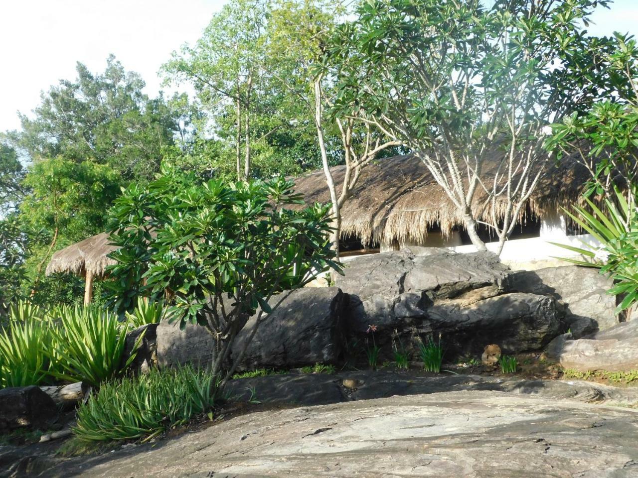 Galapita Eco Lodge Buttala Екстериор снимка