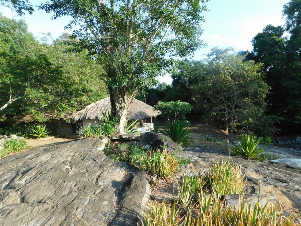 Galapita Eco Lodge Buttala Стая снимка