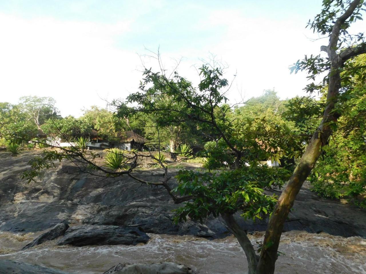 Galapita Eco Lodge Buttala Стая снимка