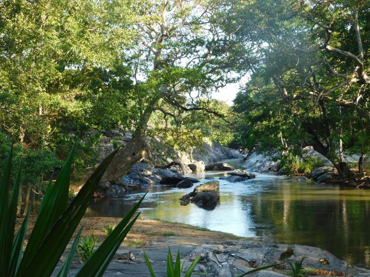Galapita Eco Lodge Buttala Екстериор снимка
