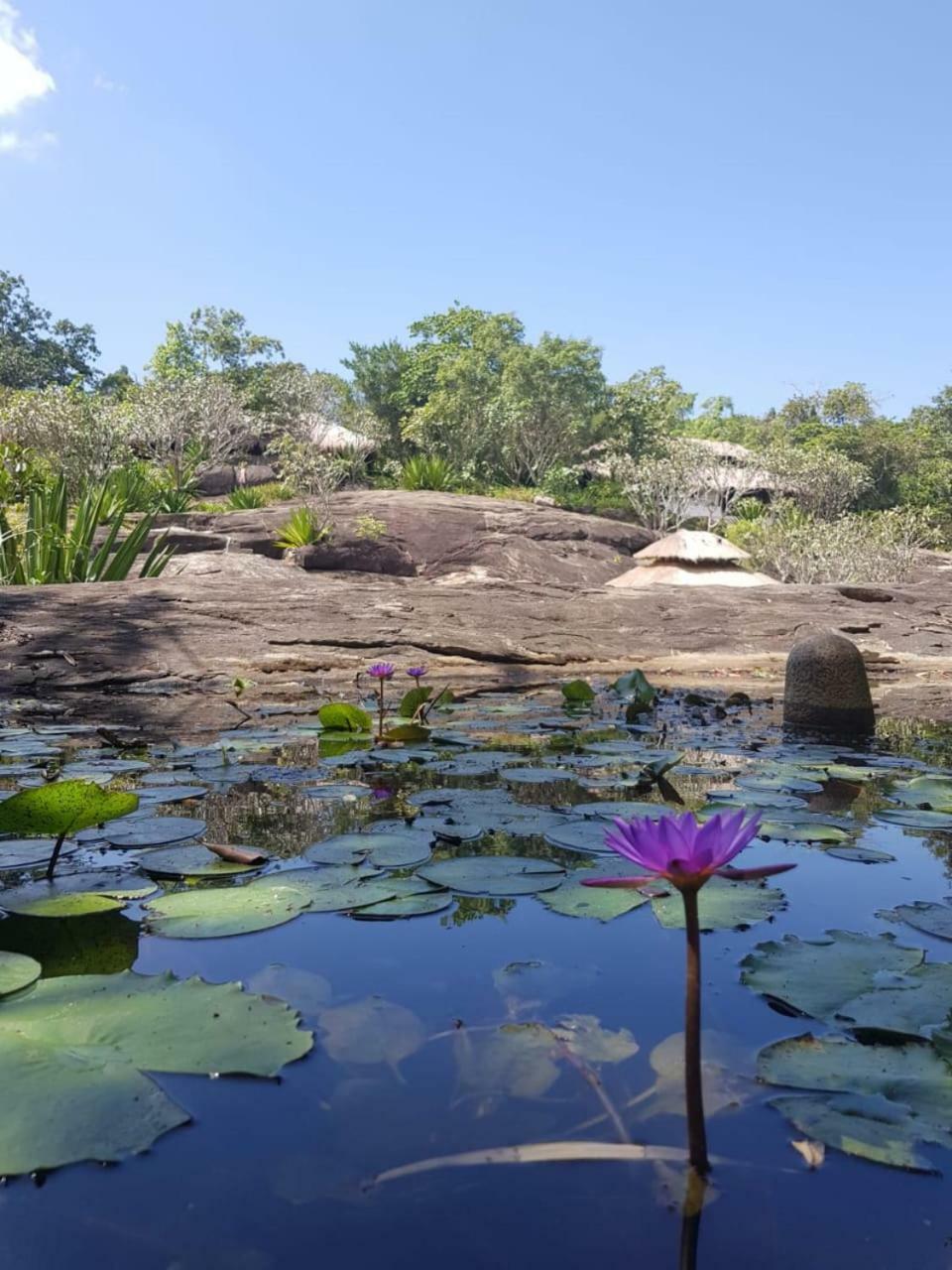 Galapita Eco Lodge Buttala Екстериор снимка