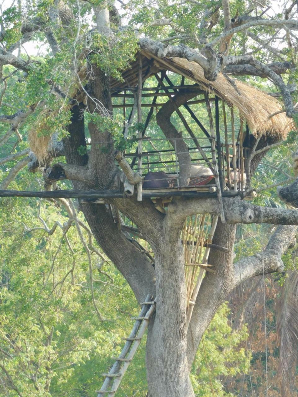 Galapita Eco Lodge Buttala Екстериор снимка